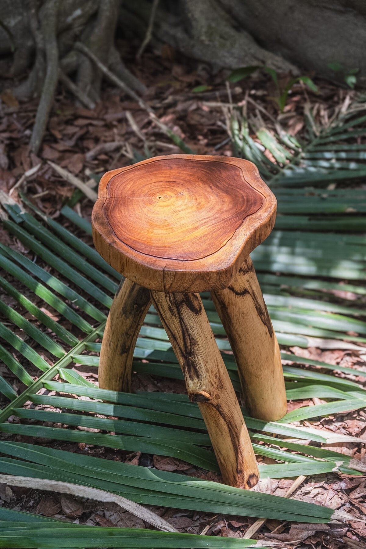 Pazcuarito — banco de madera maciza tallada a mano, Xécora Studio